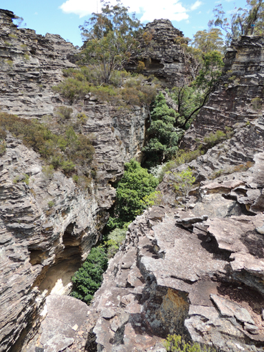  - Tiger Snake Canyon